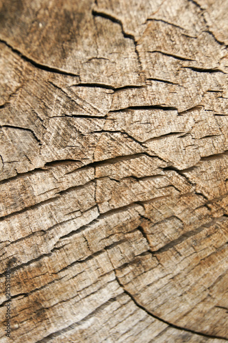 Texture stump