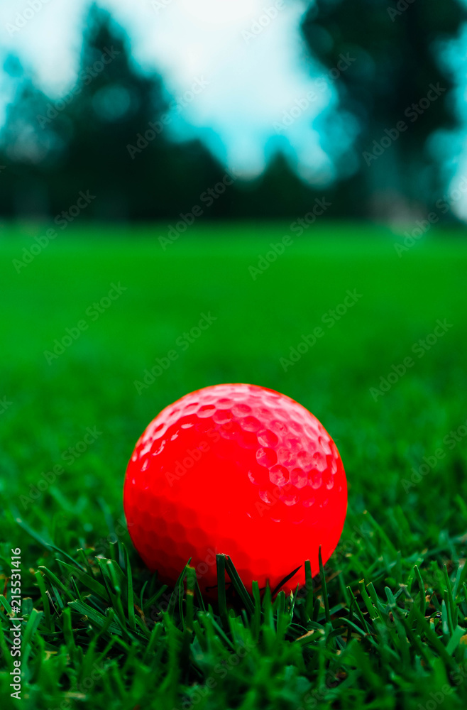 Naklejka premium Golf pink ball in a thick green grass course, trees and blue sky blurred background, close up view.