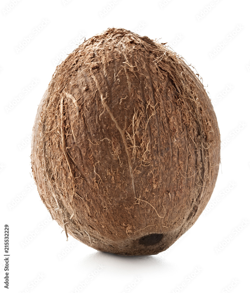 whole ripe hairy coconut fruit isolated on white background whole ripe hairy coconut fruit isolated on white background