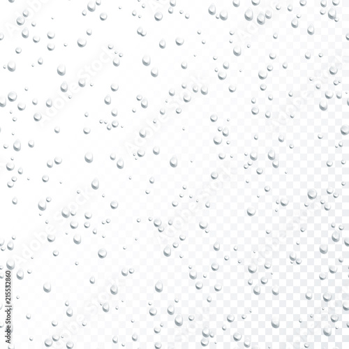 Drops seamless pattern. Water drops on transparent background. Rain drops. Realistic bubbles on transparent background. Vector illustration