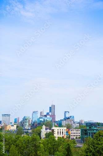 Top view of the old city and the new modern houses. Vilnius  Lithuania.