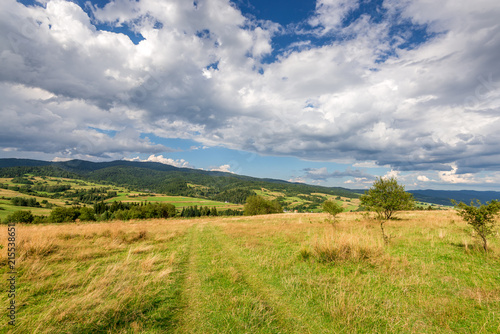 Picturesque rural landscape in summer day with amazing clouds on the sky. Pieniny mountains, Poland.