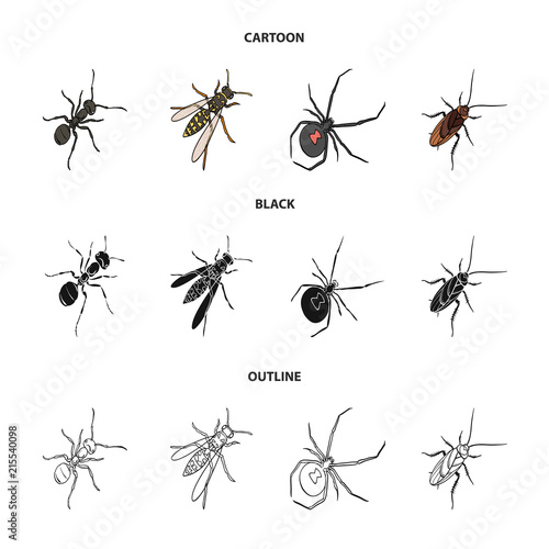 An insect arthropod, an osa, a spider, a cockroach. Insects set collection icons in cartoon,black,outline style vector symbol stock isometric illustration web.