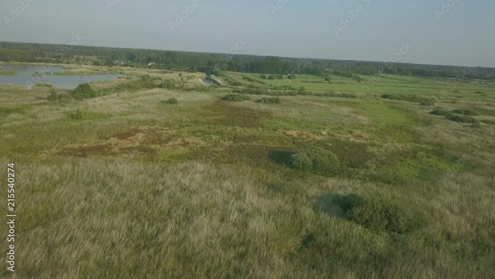 Flying over swampy terrain, white bird flies past, 4k Flying over swampy terrain, white bird flies past, 4k