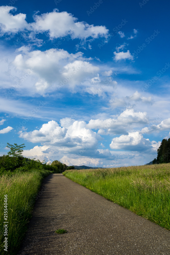 Germany, Hike road along black forest nature landscape