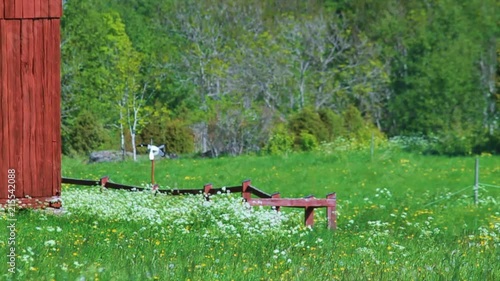 Lawn Ornament In Wind On Fence Along Side Red Barn in Sweden photo