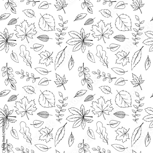 Autumn falling leaves pattern, hand drawn in sketched style, black and white vector illustrations.
