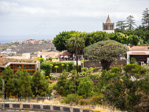 View to botanical garden and famous millennial tree Drago in Icod de los VInos, Tenerife, Canary Islands photo