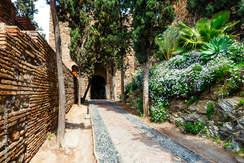 Fotografie, Obraz courtyard of alcazaba castle in Malaga, Costa del Sol, Spain