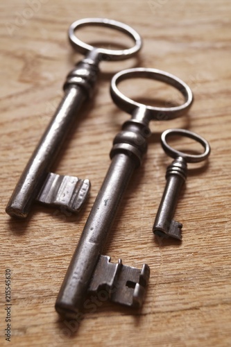 Old metal keys on a wooden background © ramona georgescu