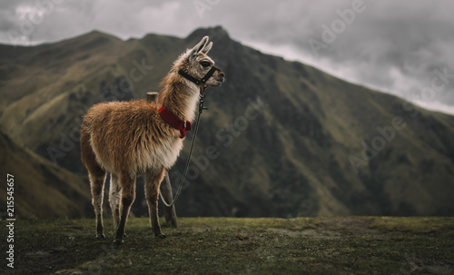 ecuador