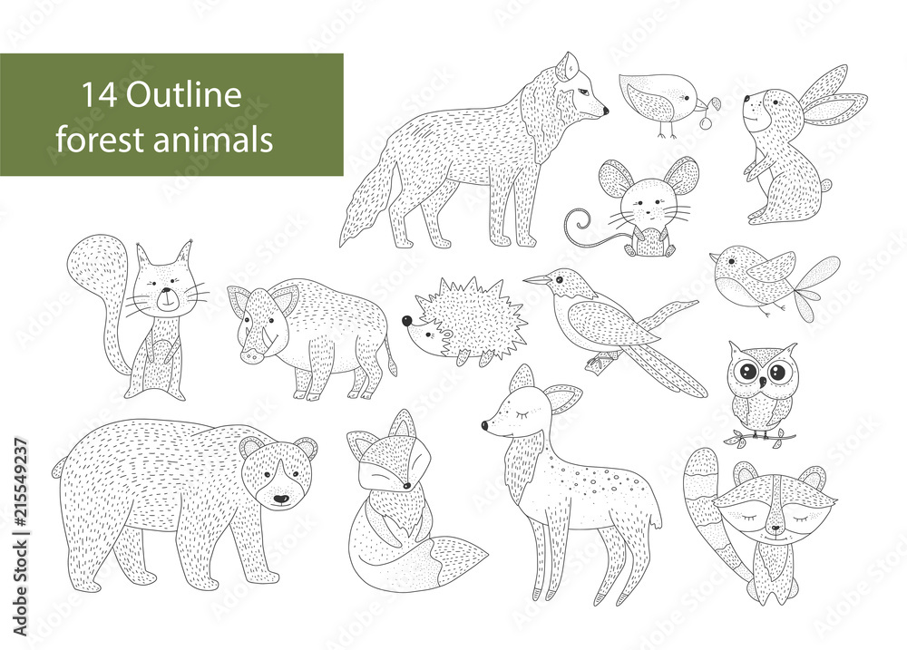 Big set of hand drawn forest illustraitions with outline animals on a ...