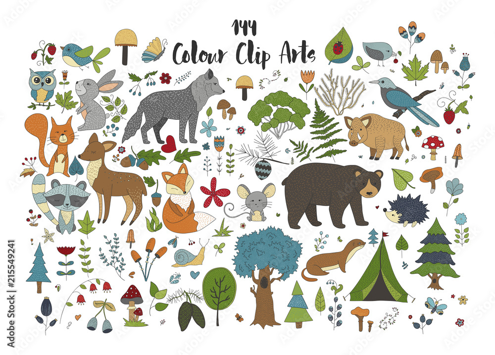Big set of hand drawn forest illustraitions with color cartoon animals on a white background. Big set of hand drawn forest illustraitions with color cartoon animals on a white background.