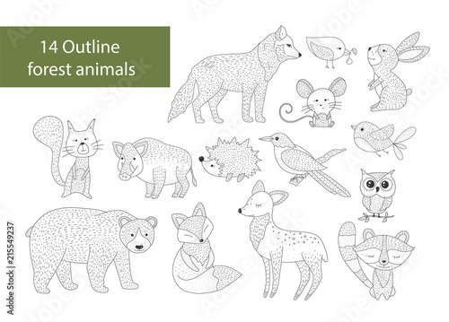Big set of hand drawn forest illustraitions with outline animals on a white background. Woodland icons.