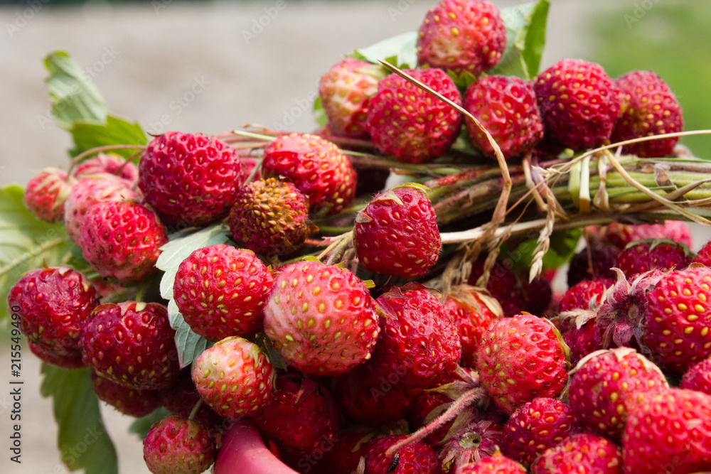 strawberries strawberries