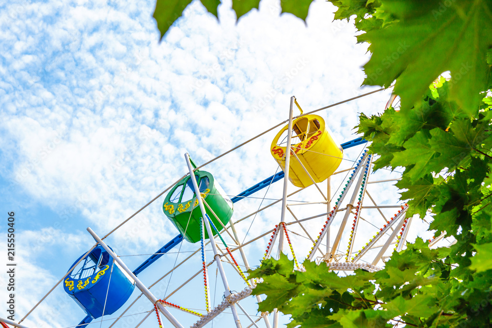 Ferris wheel in the Park with foliage in the foreground