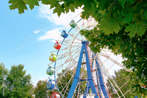 Ferris wheel in the Park with foliage in the foreground