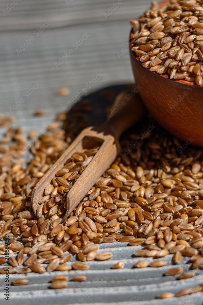 spelt seeds on a wooden rustic background spelt seeds on a wooden rustic background