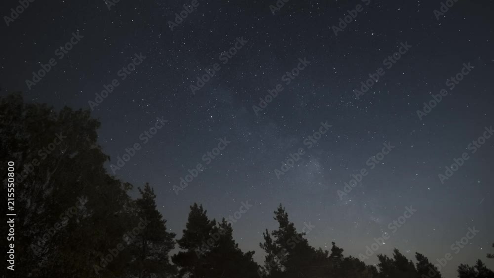 Timelapse of beautiful night starry sky and Milky Way Galaxy moving above dark silhouettes of trees, background in 4K UHD Timelapse of beautiful night starry sky and Milky Way Galaxy moving above dark silhouettes of trees, background in 4K UHD