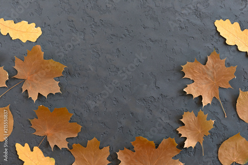 Overhead view of autumn composition on black rustic background. Autumn maple And oak leaves  Flat lay  top view  copy space.