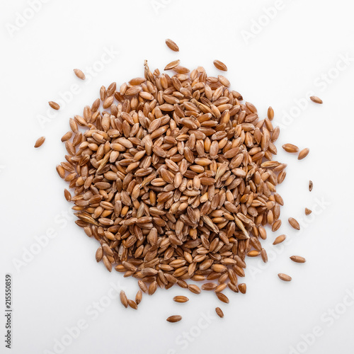 spelt seeds on a white acrylic background