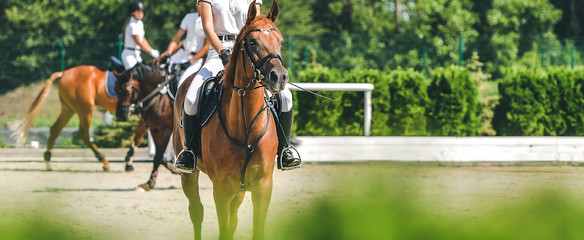 Sierkussen Paardrijden Dressuurpaard en ruiter tijdens wedstrijd  © taylon