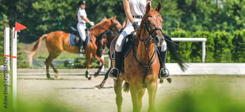 Horse horizontal banner for website header design. Dressage horse and rider in uniform during equestrian competition. Blur green trees as background.  photo