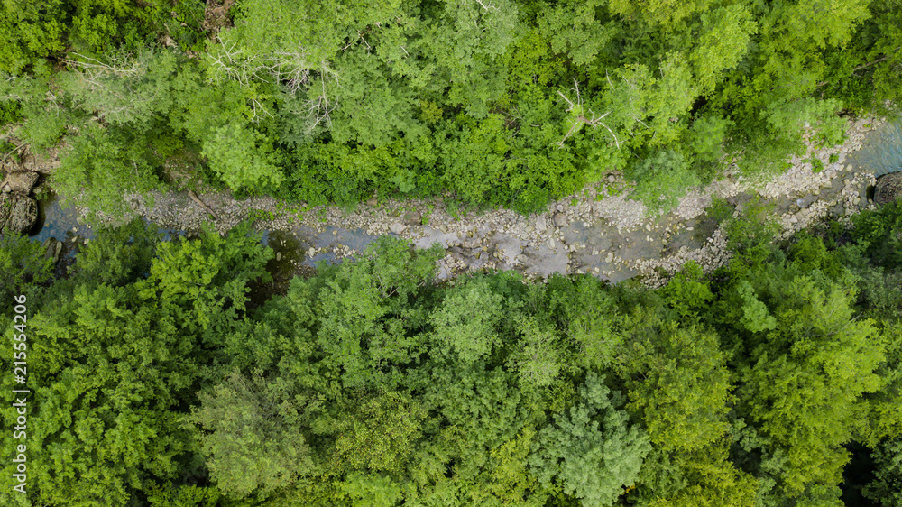 Aerial Top Down View Of Caucasus Mountains Forest Trees. Directly above view from drone on a sunny summer day. Aerial Top Down View Of Caucasus Mountains Forest Trees. Directly above view from drone on a sunny summer day.