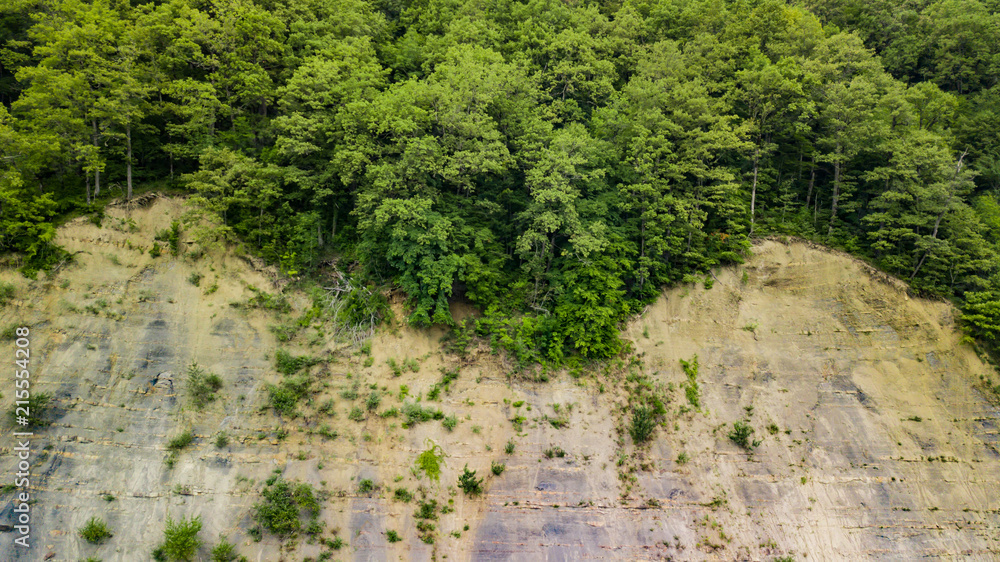 Background texture of rocky terrain with trees Background texture of rocky terrain with trees