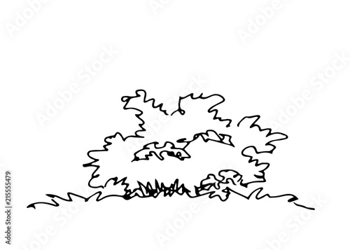 Hand drawn architect shrub, vector sketch, architectural illustration