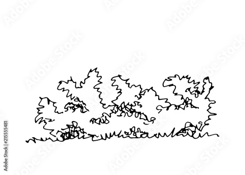 Hand drawn architect shrub, vector sketch, architectural illustration