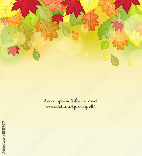 Vector illustration of autumn leaf in colors. Background of natural leaves
