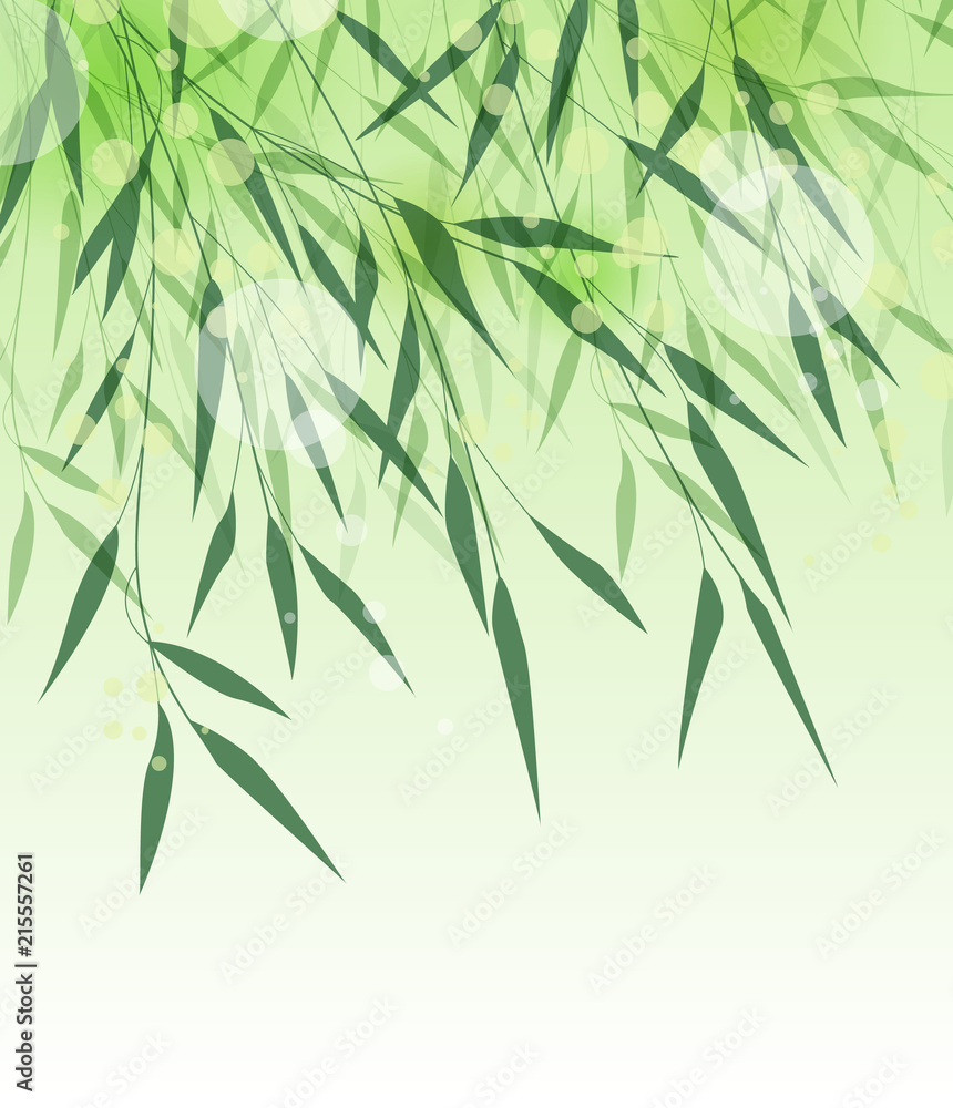 Fototapeta premium Ilustracja wektorowa liści bambusa. Naturalne tło z zielonymi liśćmi