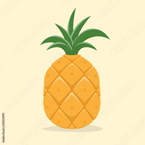 vector illustration of a pineapple