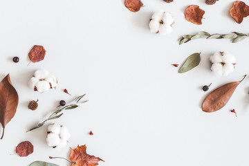 Autumn composition. Frame made of eucalyptus branches, cotton flowers, dried leaves on pastel gray background. Autumn, fall concept. Flat lay, top view, copy space