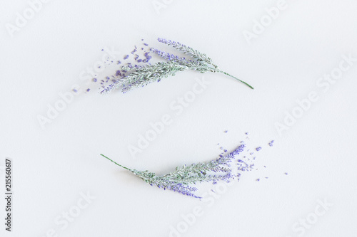 Lavender flowers on pastel gray background. Flat lay, top view, square