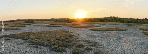 sunset in Brazilian dry mangrove