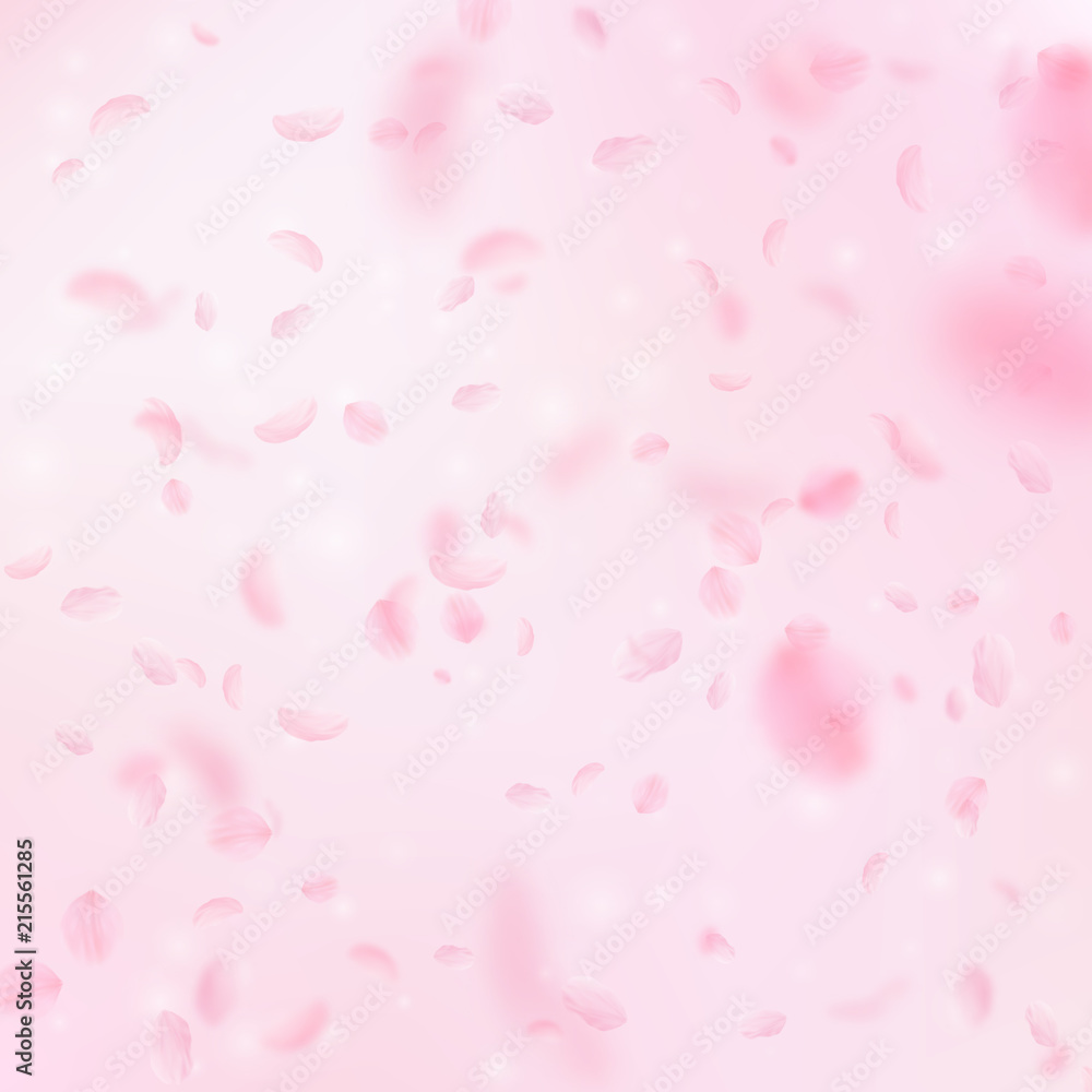Sakura petals falling down. Romantic pink flowers falling rain. Flying petals on pink square backgro