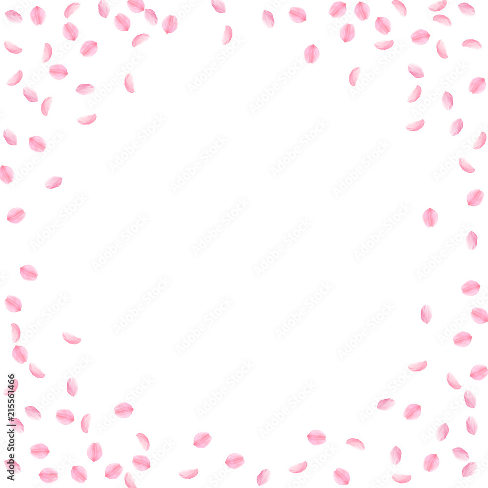 Sakura petals falling down. Romantic pink silky small flowers. Sparse flying cherry petals. Circle f