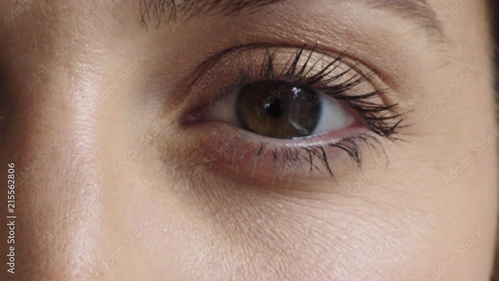 close up young woman eye opening wearing makeup looking at camera eyelash beauty cosmetics close up young woman eye opening wearing makeup looking at camera eyelash beauty cosmetics