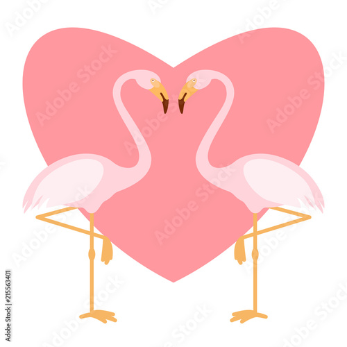 Pink flamingoes pair, love illustration, two loving birds, vector