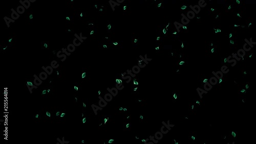 緑葉 パーティクル