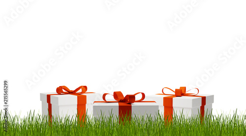 gift boxes behind blades of...