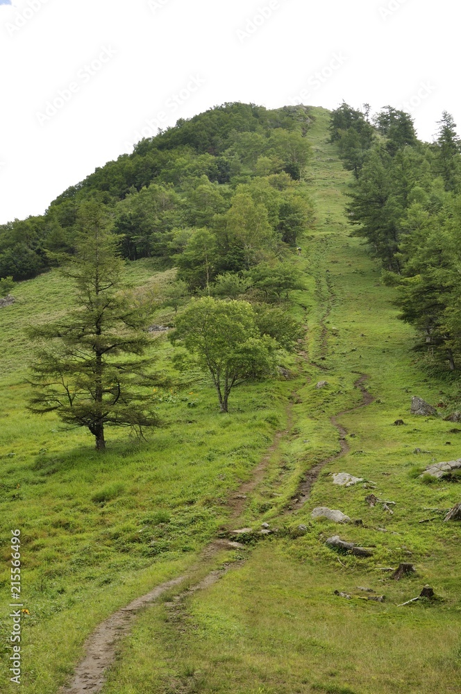 Obraz premium 笠取山