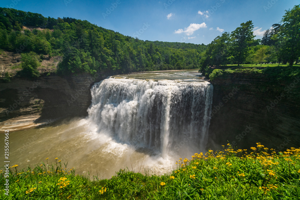 Fototapeta premium Letchworth State Park 
