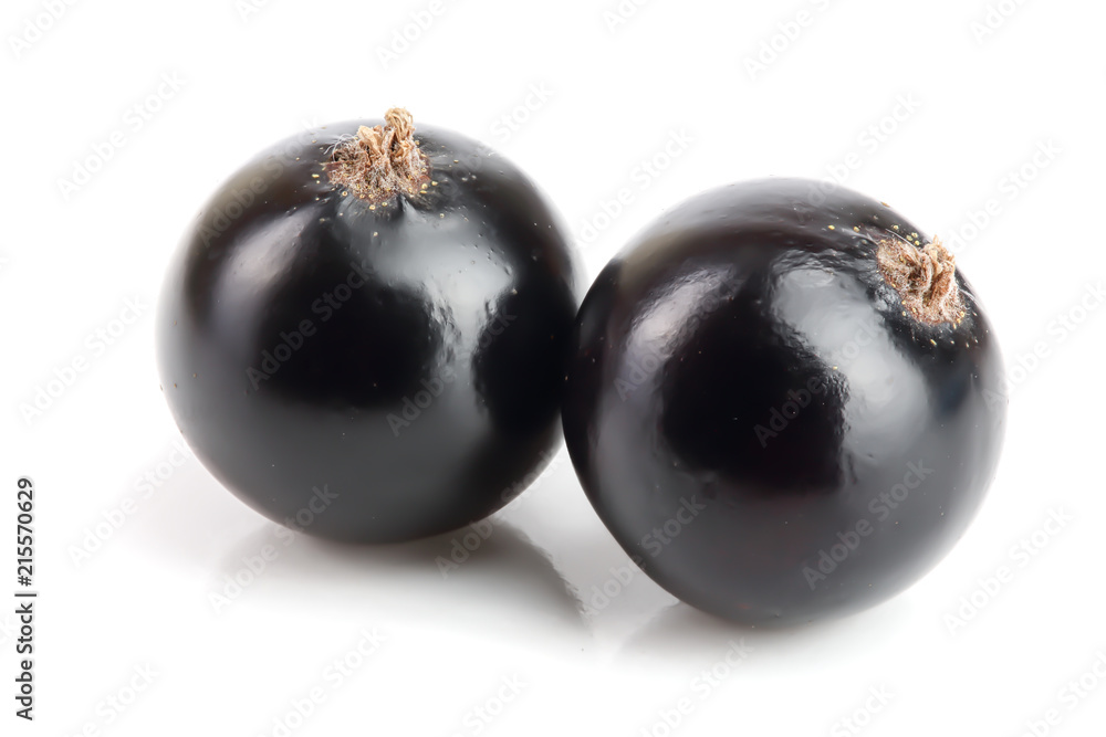two black currant isolated on white background two black currant isolated on white background