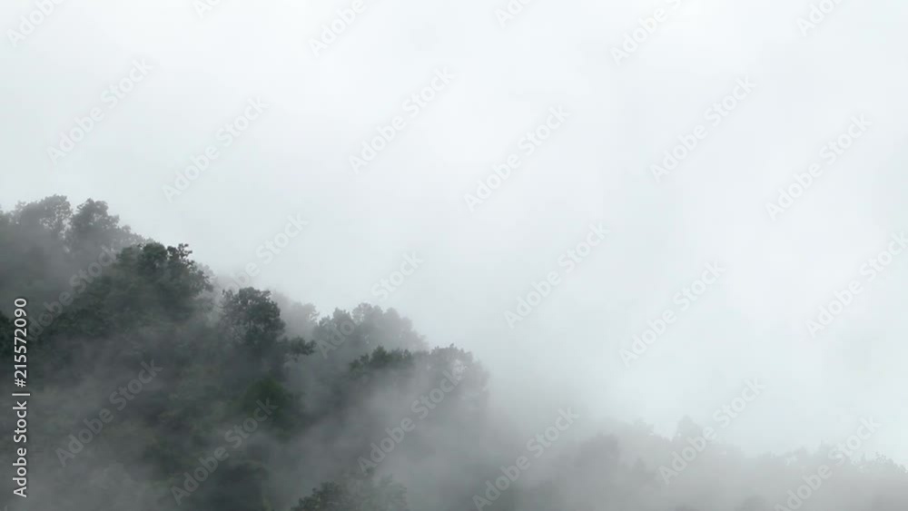 Dense white fog surrounding a green peak in the Appalachian mountains. Dense white fog surrounding a green peak in the Appalachian mountains.