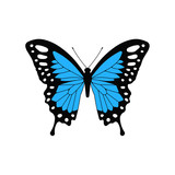 Blue butterfly. Vector. Isolated.