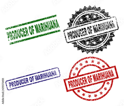 PRODUCER OF MARIHUANA seal stamps with distress style. Black, green,red,blue vector rubber prints of PRODUCER OF MARIHUANA caption with unclean style. Rubber seals with circle, rectangle,
