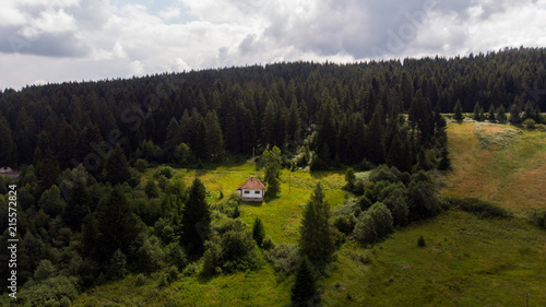 small hut surrounded with forest 